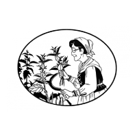 Logo-Partenaires---Odyssea---Bayonne---illustration-180