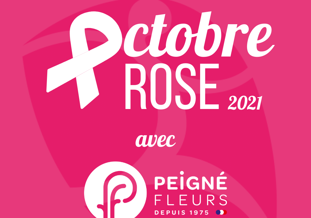 collecte 2021 odyssea collecte 2021 odyssea